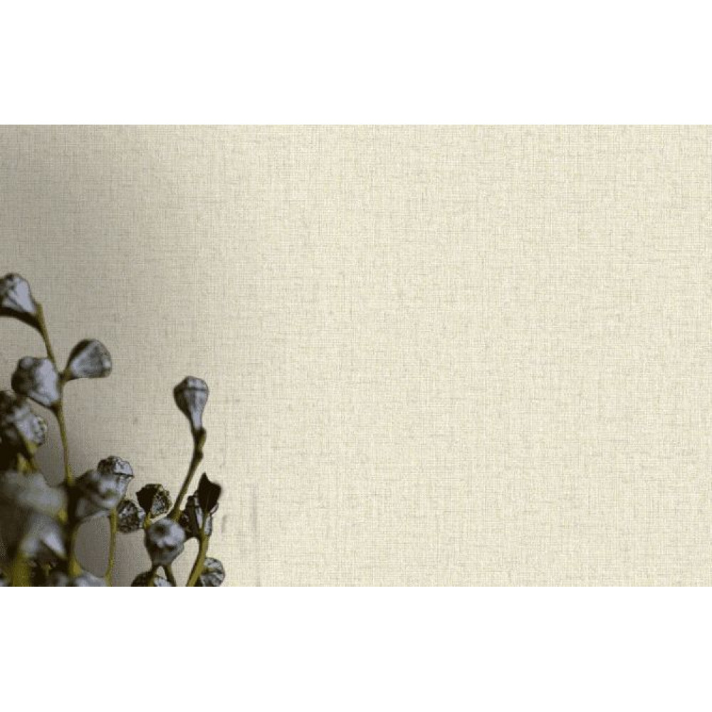 AdaWall Octagon 1206-1
