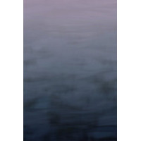 Decoprint Onirique OND22061