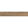 OPOCZNO RUSTIC BROWN 19,8х119,8