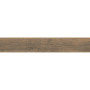OPOCZNO RUSTIC BROWN 19,8х119,8