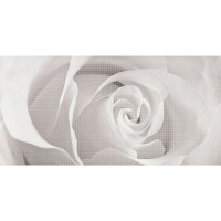 OPOCZNO Декор EFFECTA GREY 29,7х60
