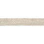 OPOCZNO PRIME GREY 19,8х119,8