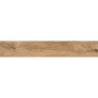 OPOCZNO RUSTIC LIGHT BROWN 19,8х119,8