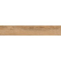 OPOCZNO RUSTIC LIGHT BROWN 19,8х119,8
