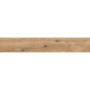 OPOCZNO RUSTIC LIGHT BROWN 19,8х119,8