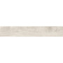 OPOCZNO PRIME WHITE 19,8х119,8
