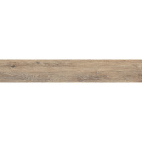 OPOCZNO NATURAL COLD BROWN 19,8х119,8