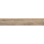OPOCZNO NATURAL COLD BROWN 19,8х119,8