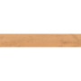 OPOCZNO GINGER FOREST BEIGE MATT RECT 19,8х119,8