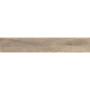 OPOCZNO NATURAL COLD BROWN 19,8х119,8