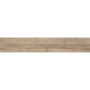 OPOCZNO NATURAL COLD BROWN 19,8х119,8