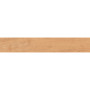 OPOCZNO GINGER FOREST BEIGE MATT RECT 19,8х119,8