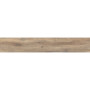 OPOCZNO NATURAL COLD BROWN 19,8х119,8