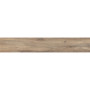OPOCZNO NATURAL COLD BROWN 19,8х119,8