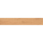 OPOCZNO GINGER FOREST BEIGE MATT RECT 19,8х119,8