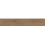 OPOCZNO GINGER FOREST BROWN MATT RECT 19,8х119,8