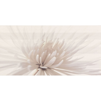 OPOCZNO Декор AVANGARDE FLOWER 29,7х60