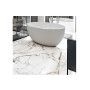 FLORIM 769979 ORIGINES DE REX ARGENT MAT 6MM