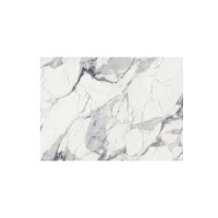 FLORIM 769983 ORIGINES DE REX ARGENT GLO 6MM