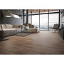 CERRAD GRES ORION ORO RECT
