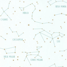 Caselio Our Planet OUP101917125