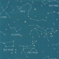 Caselio Our Planet OUP101916003
