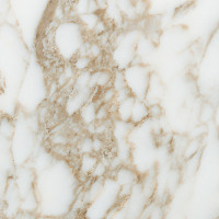 PAMESA ARABESCATO GOLD (FAM017/COMPACGLASS RECT)