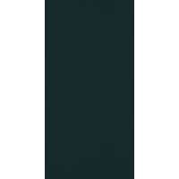 Paradyz classica PORCELANO GREEN SCIANA 30X60 G1