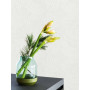 Ideco Phoenix A48101