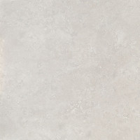 Domino Piuma grey LAP 59,8x59,8 Gat.1