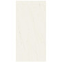 Atlas Concorde Plan Bianco Dolomite A Lap Lux - 12mm ST 162x324 cm (AAVG)
