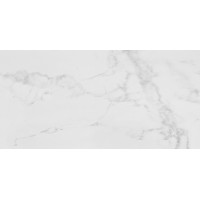 PORCELANOSA G389 CARRARA BLANCO PULIDO 59.6x120 (плитка для підлоги і стін)