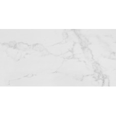 PORCELANOSA G389 CARRARA BLANCO PULIDO 59.6x120