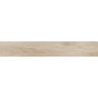 PORCELANOSA G384 ASCOT ARCE 19.3x120 (плитка для підлоги і стін)