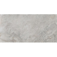 PORCELANOSA G369 IMAGE SILVER 59.6x120
