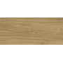 PORCELANOSA G2500 EWOOD CAMEL NATURE 120x270 (плитка для підлоги і стін)