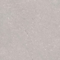 PORCELANOSA G392 CORAL ACERO L 120x120 (плитка для підлоги і стін)