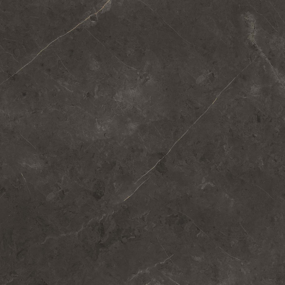 PORCELANOSA G392 KARACHI GREY L 120x120 (плитка для підлоги і стін)