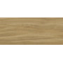 PORCELANOSA G2500 EWOOD CAMEL NATURE 120x270 (плитка для підлоги і стін)