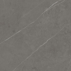 PORCELANOSA G2528 LIEM GREY NATURE 120x120