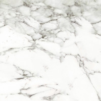 PORCELANOSA G347 CALACATTA SILVER 59.6x59.6 (плитка для підлоги і стін)