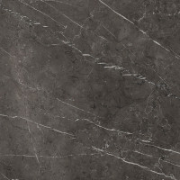 PORCELANOSA G2529 SAVAGE DARK NATURE 120x120 (плитка для підлоги і стін)