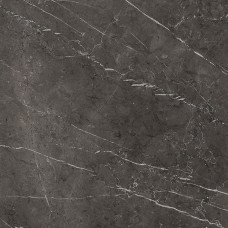 PORCELANOSA G2529 SAVAGE DARK NATURE 120x120