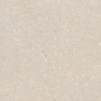 PORCELANOSA G392 CORAL CALIZA L 120x120