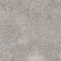 PORCELANOSA G392 NOIR TOPO L 120x120 (плитка для підлоги і стін)