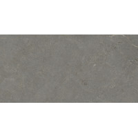 PORCELANOSA G369 STEIN ACERO 59.6x120 (плитка для підлоги і стін)