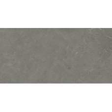 PORCELANOSA G369 STEIN ACERO 59.6x120