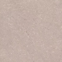 PORCELANOSA G392 CORAL TOPO L 120x120