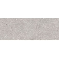 PORCELANOSA G270 CORAL ACERO 45x120 (плитка настінна)