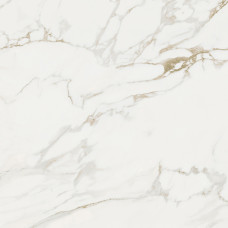 PORCELANOSA G347 MASSA BRILLO L 59.6x59.6
